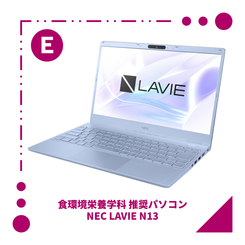 NEC LAVIE N13